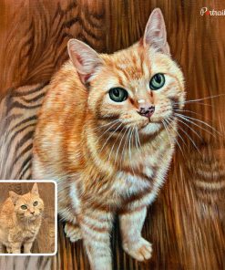 Orange Cat Acrylic Portraits