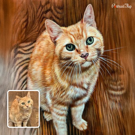 Orange Cat Acrylic Portraits