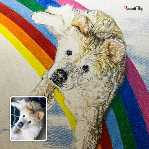 Rainbow Bridge Dog Colored Pencil Portrait