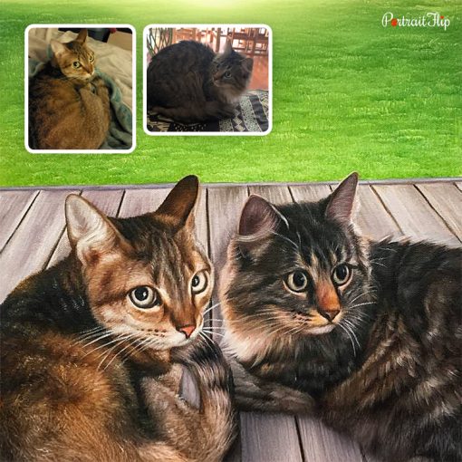 Two Cat Acrylic Portraits