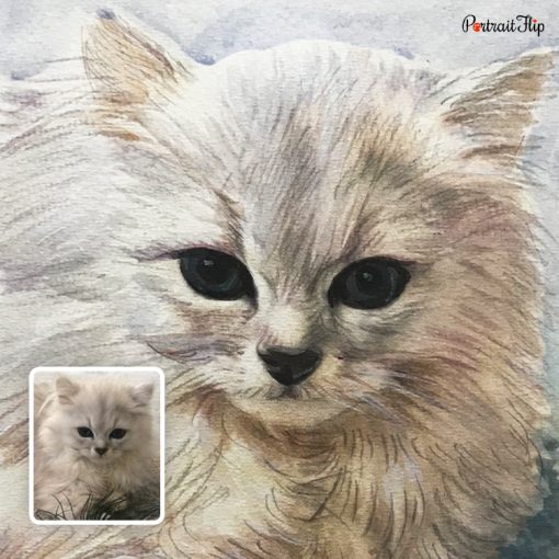 White Cat Watercolor Portraits