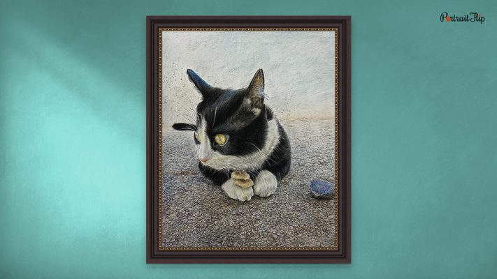 cat colored pencil painting