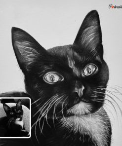 cute cat charcoal portrait
