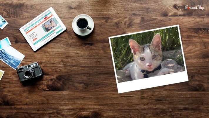 original photos