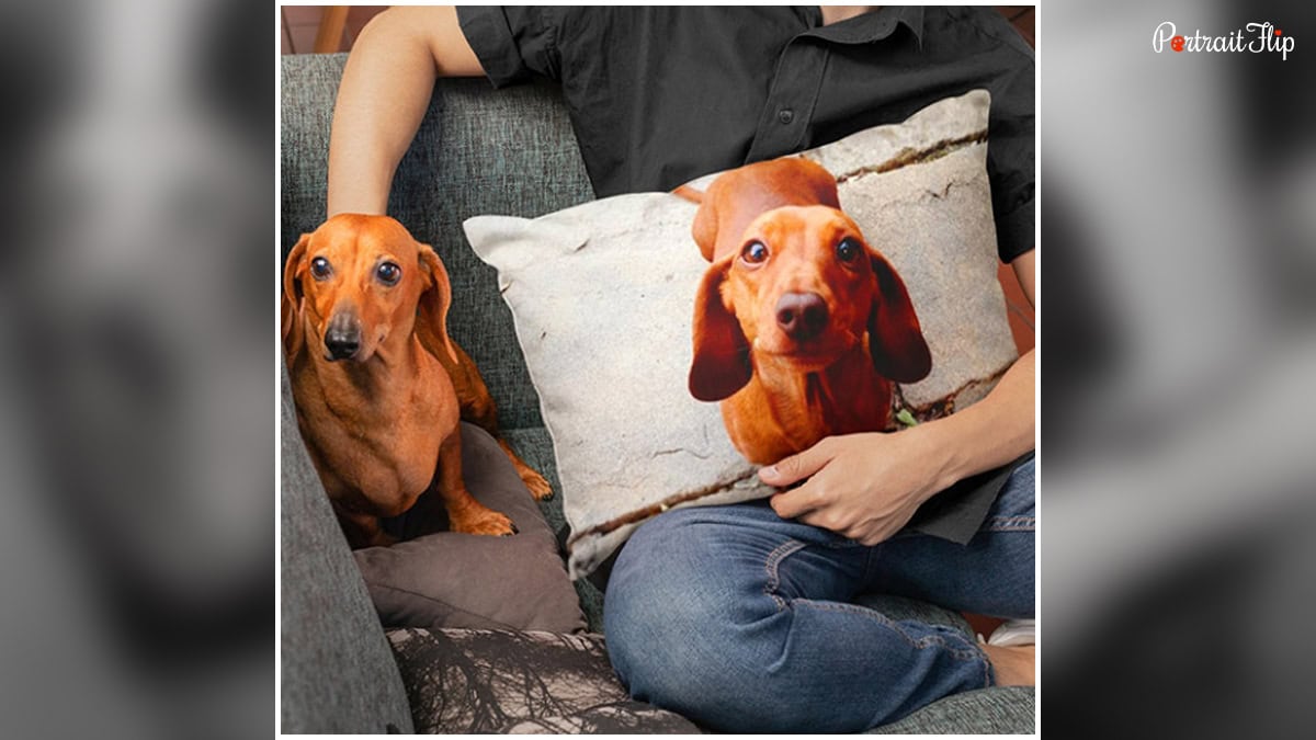 Custom Dog Pillow