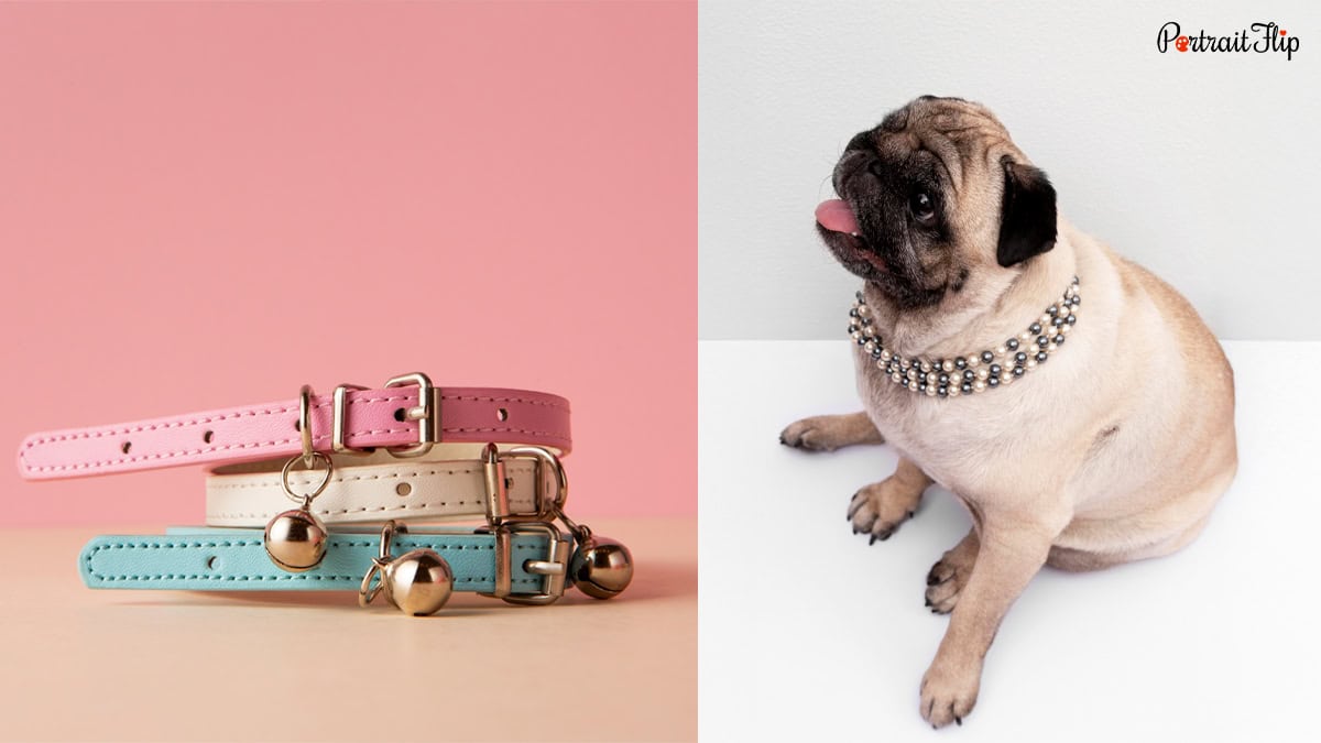 Custom Dog-Themed Jewelry