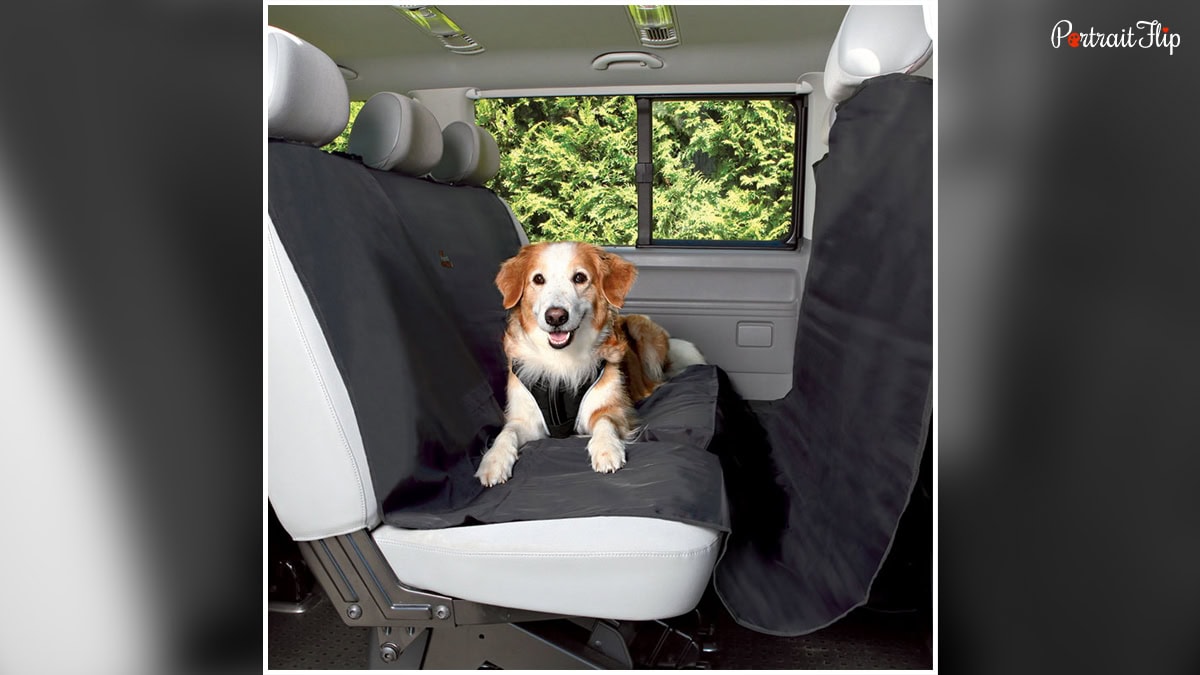 Dog Car Seat Cover
