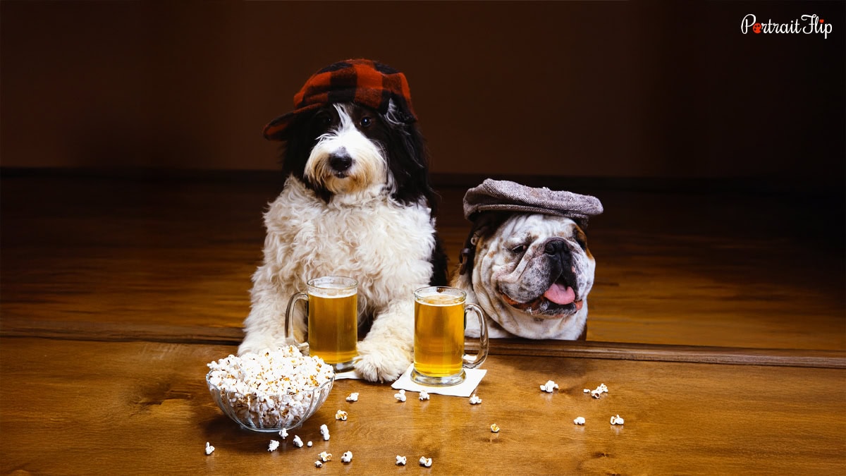 Dog Wine or Beer (Pet-Friendly Versions)