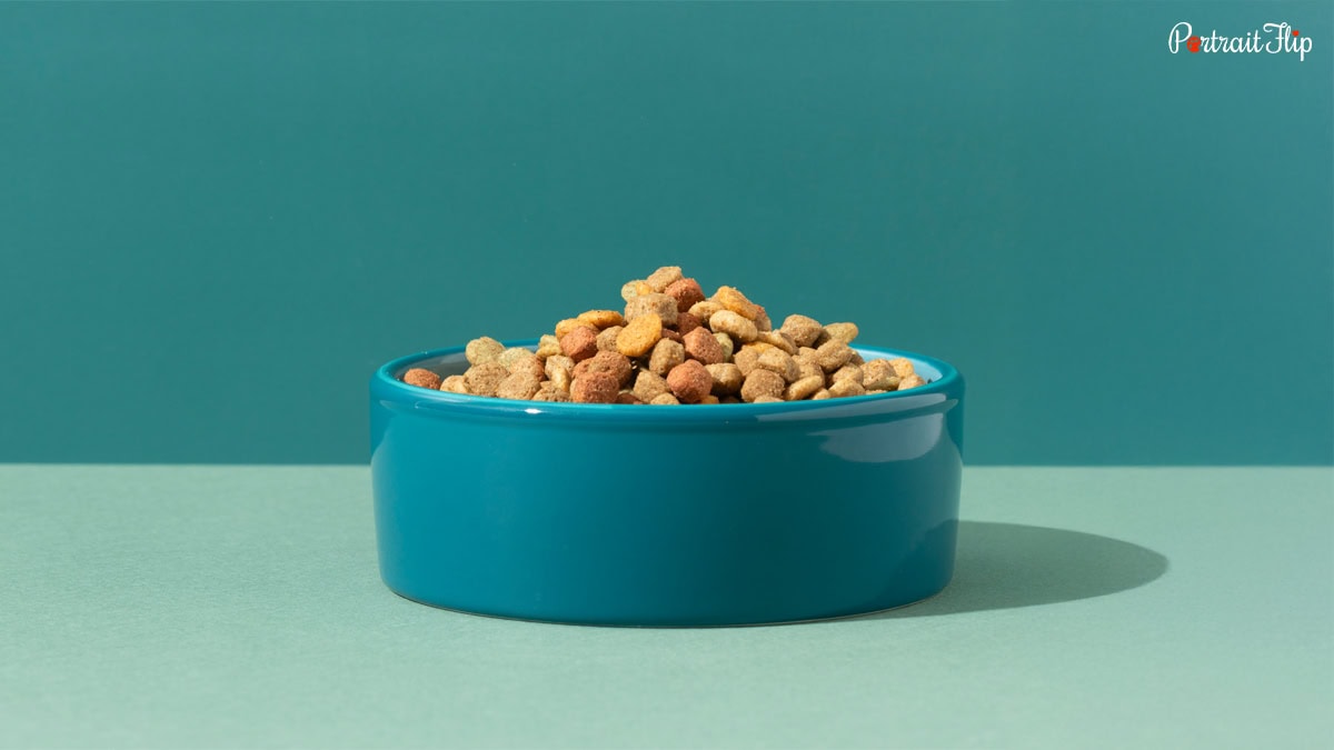Personalized Dog Treat Jar