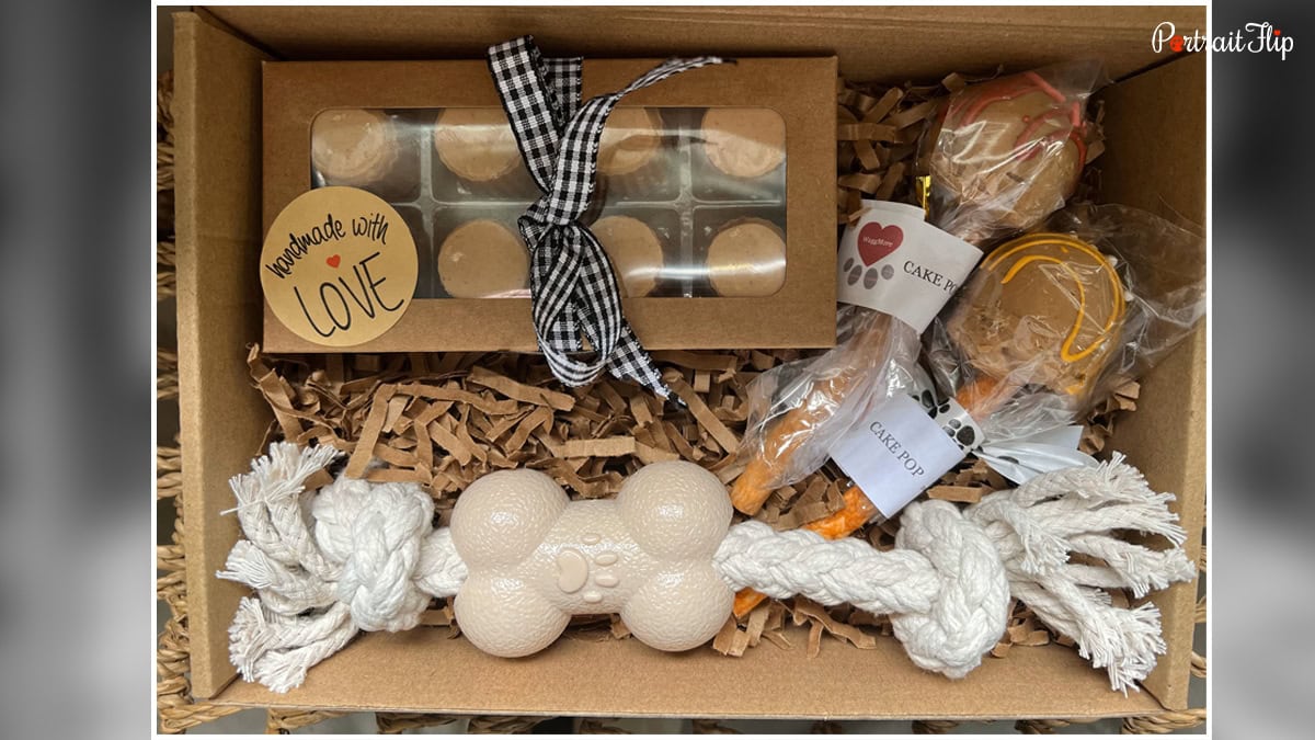 Pet-Friendly Thanksgiving Treat Box