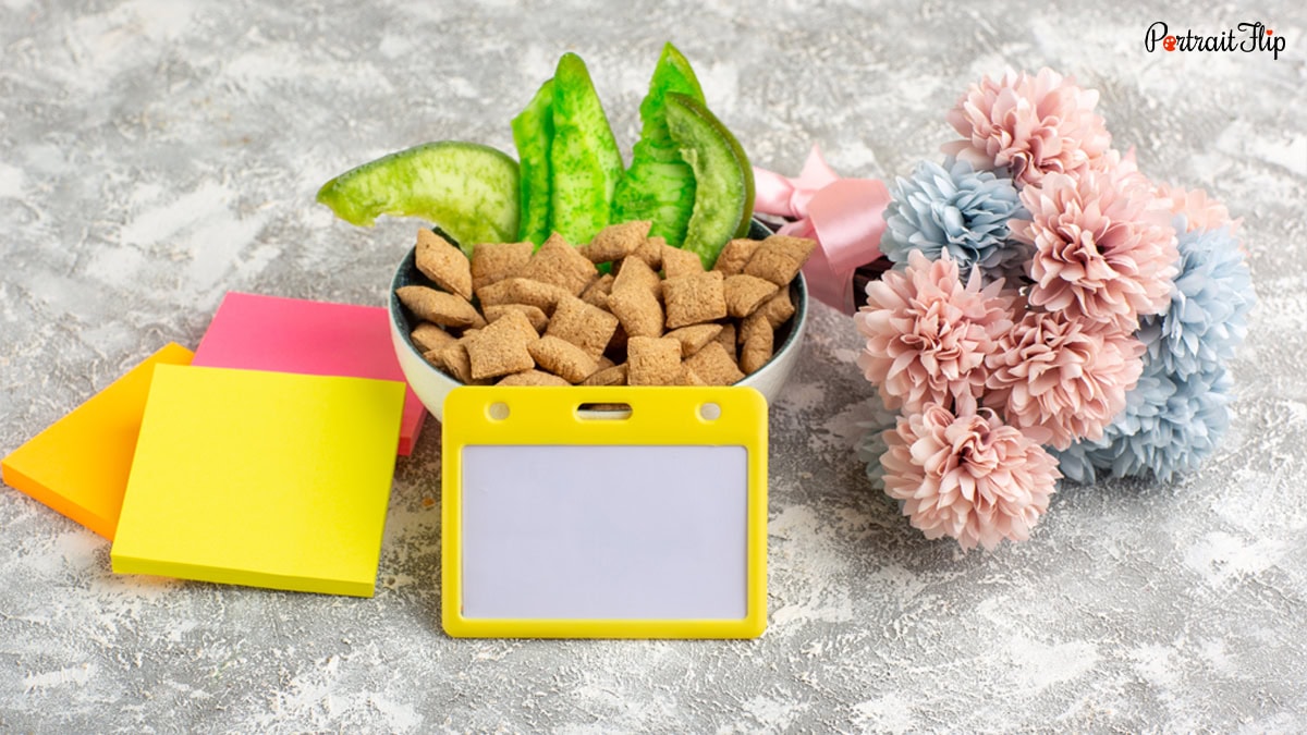 Pet Subscription Box