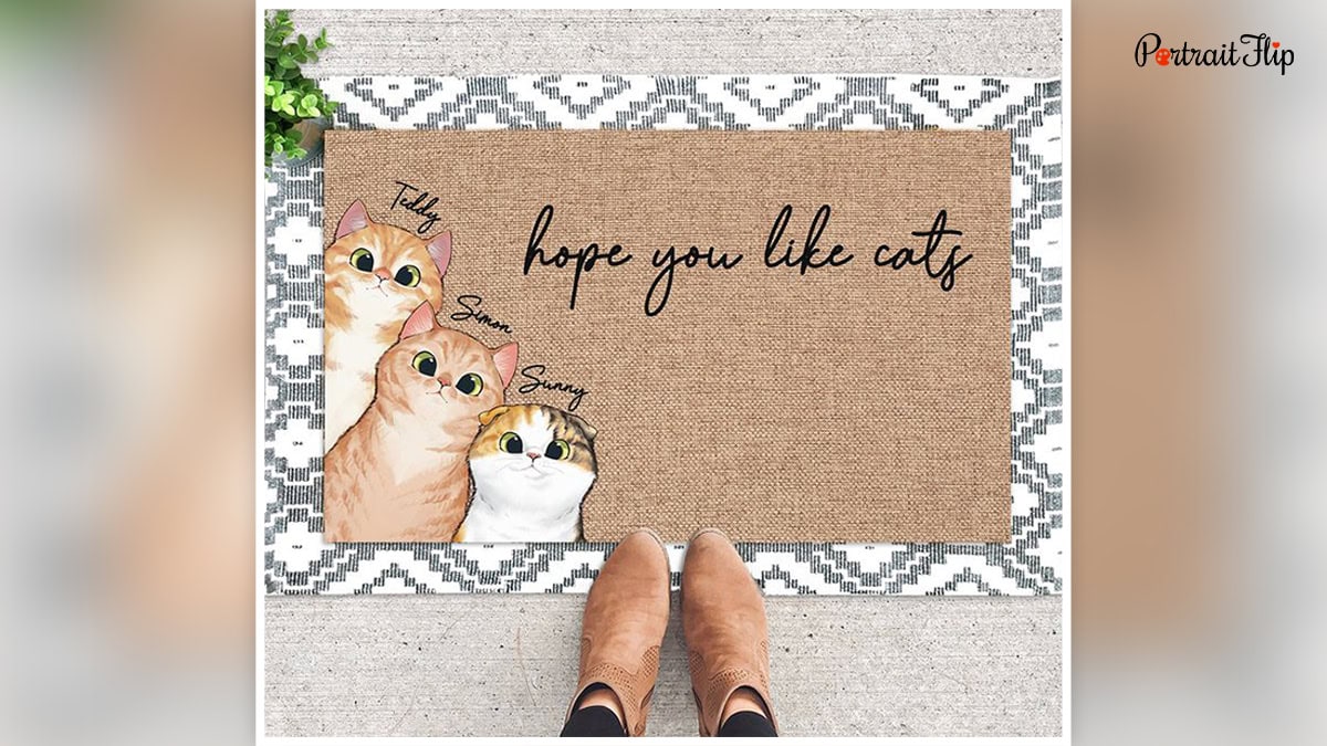 a cat doormat