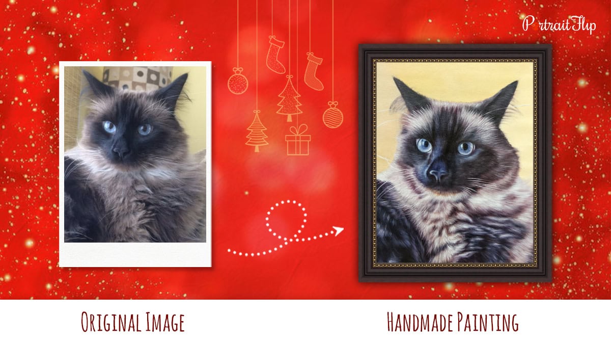 a cat portrait