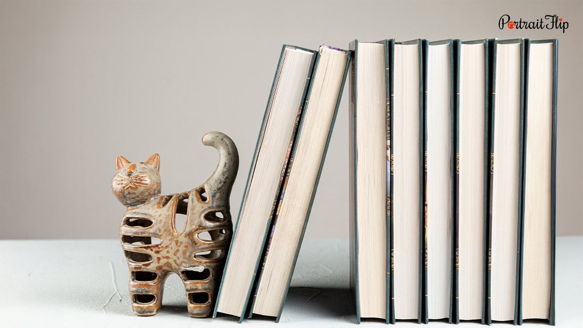 a cat shaped bookends