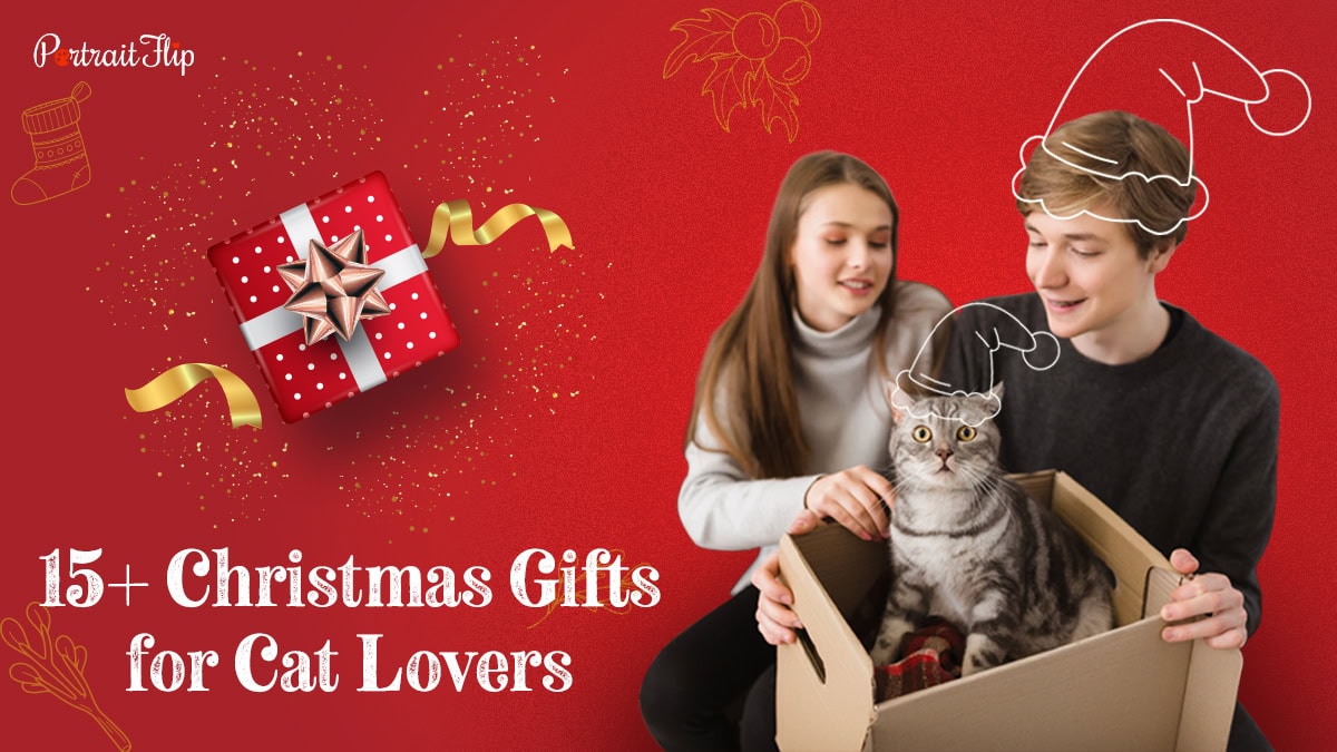 christmas gifts for cat lovers
