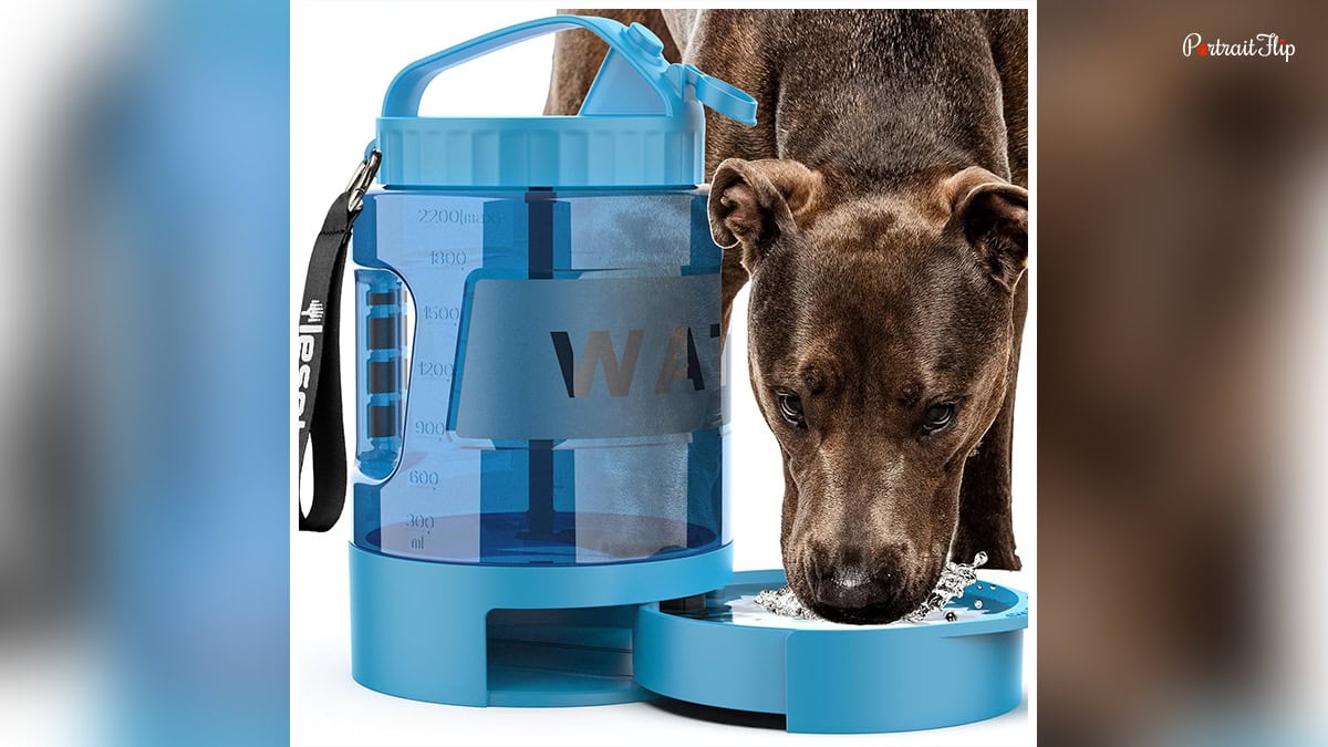 pet water bottle