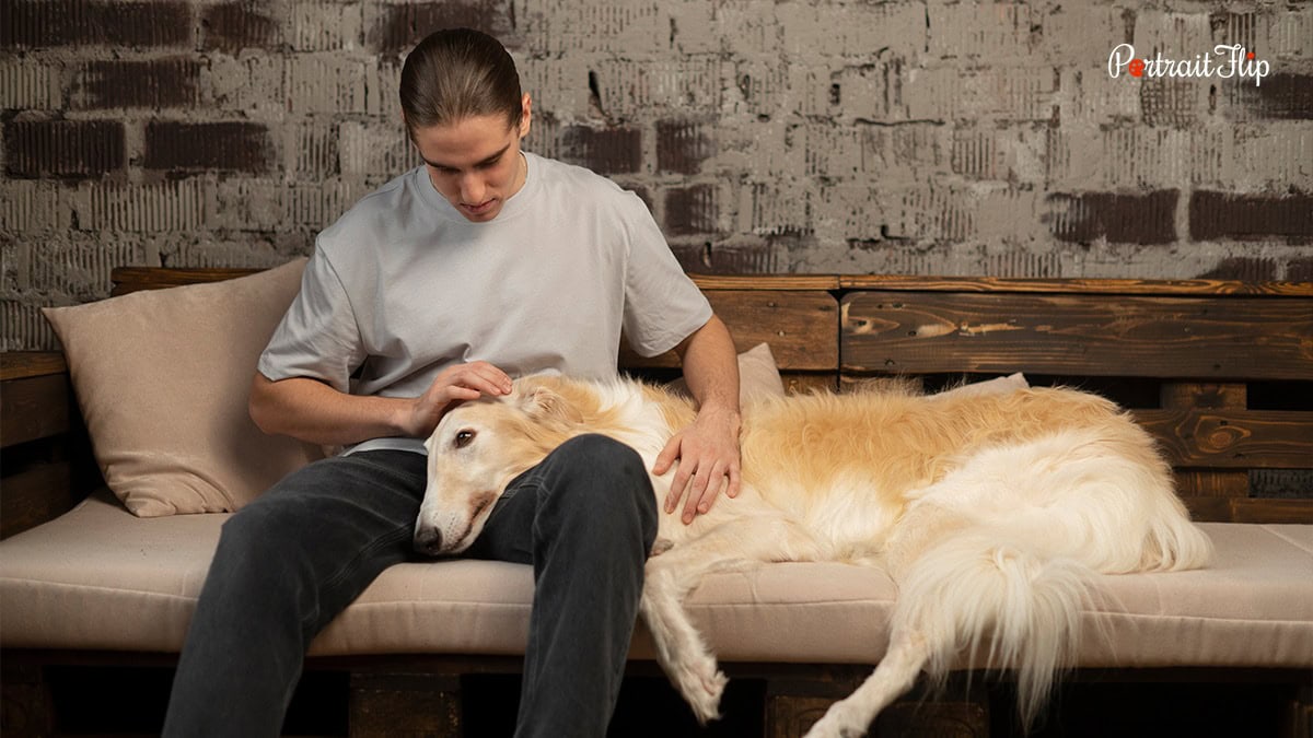 Dog lying in a man's lap