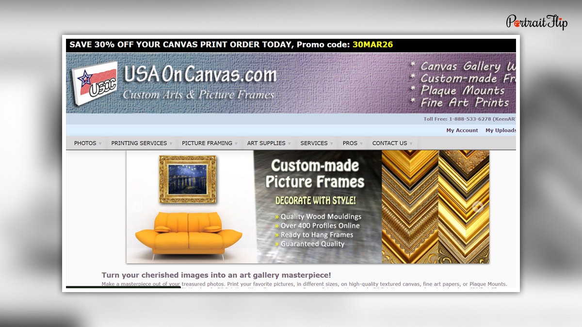 USA On Canvas website