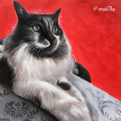 Cat Pastel Painting