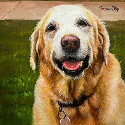 Dog Acrylic Portrait