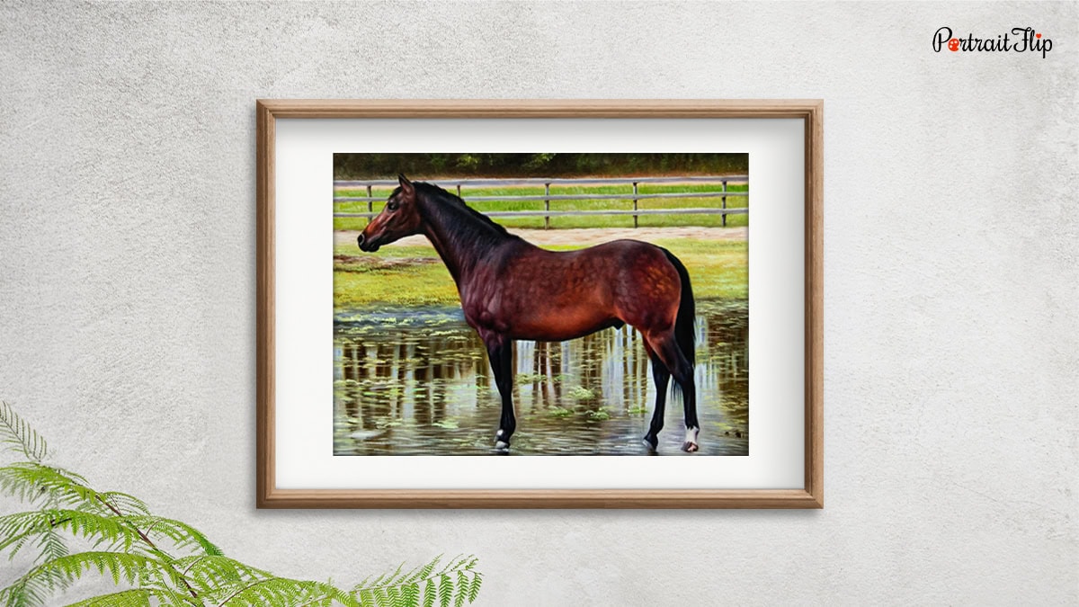 Horse Portrait by PortraitFlip