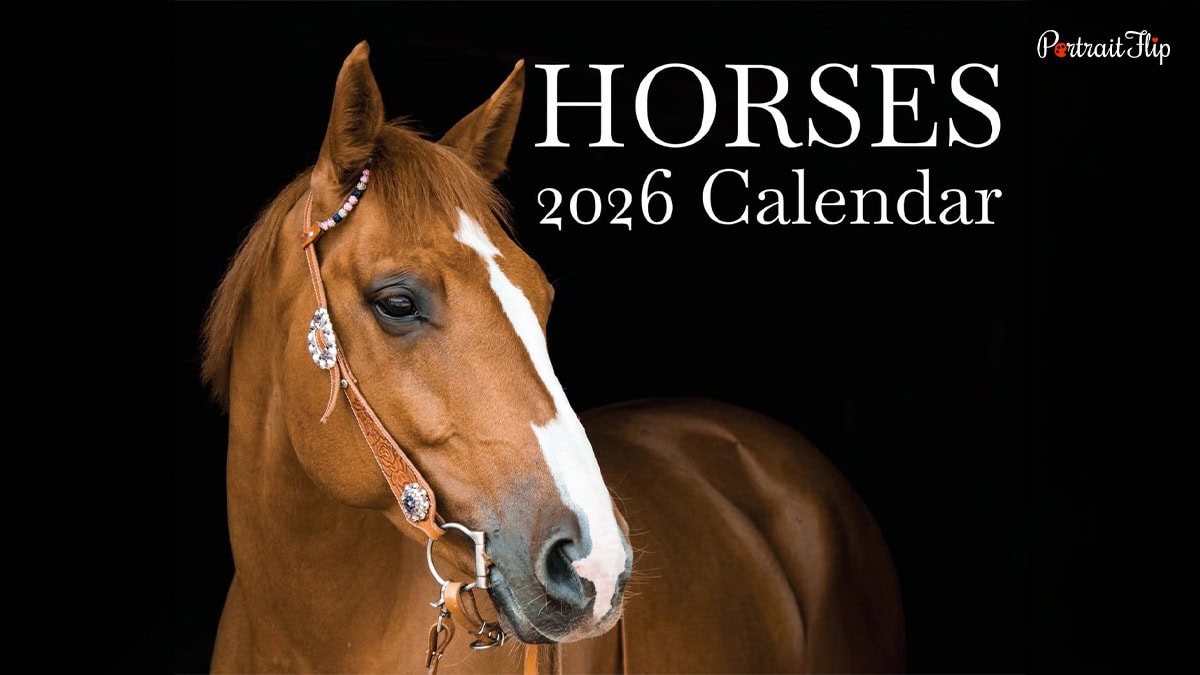Horse-Themed Calendar