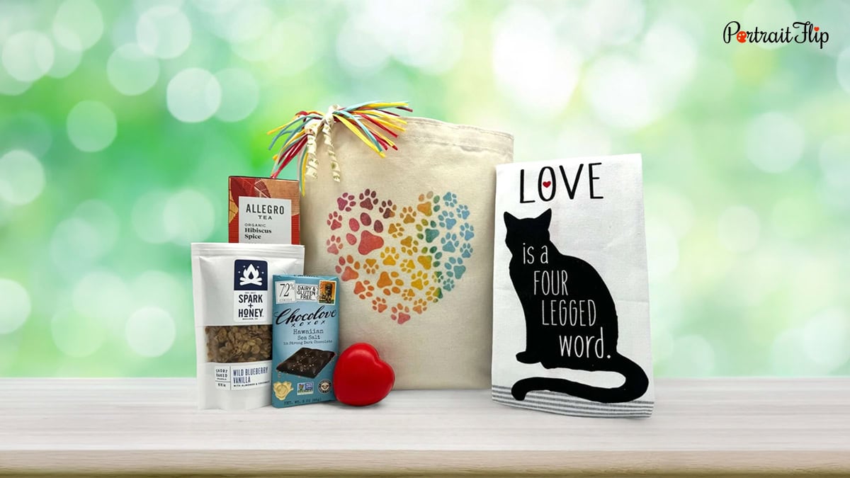 Cat Lover Gift Basket