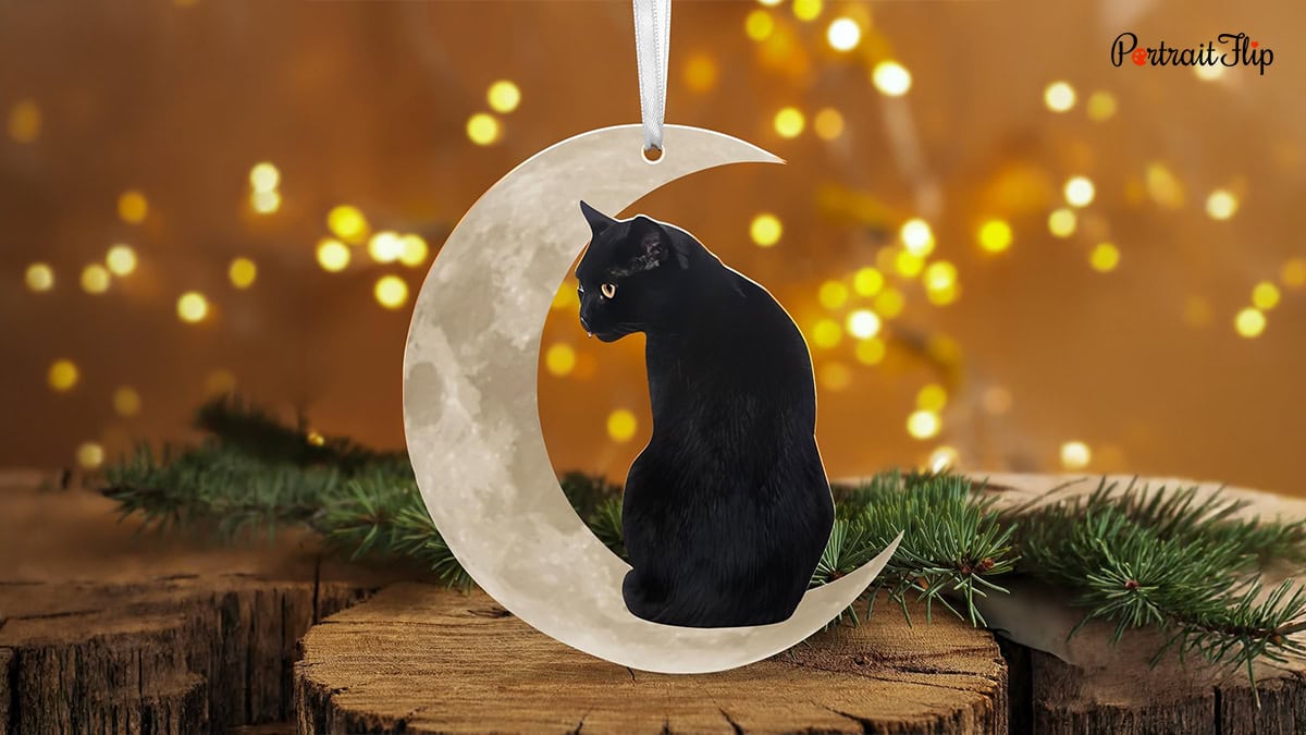 Cat Lover Ornament