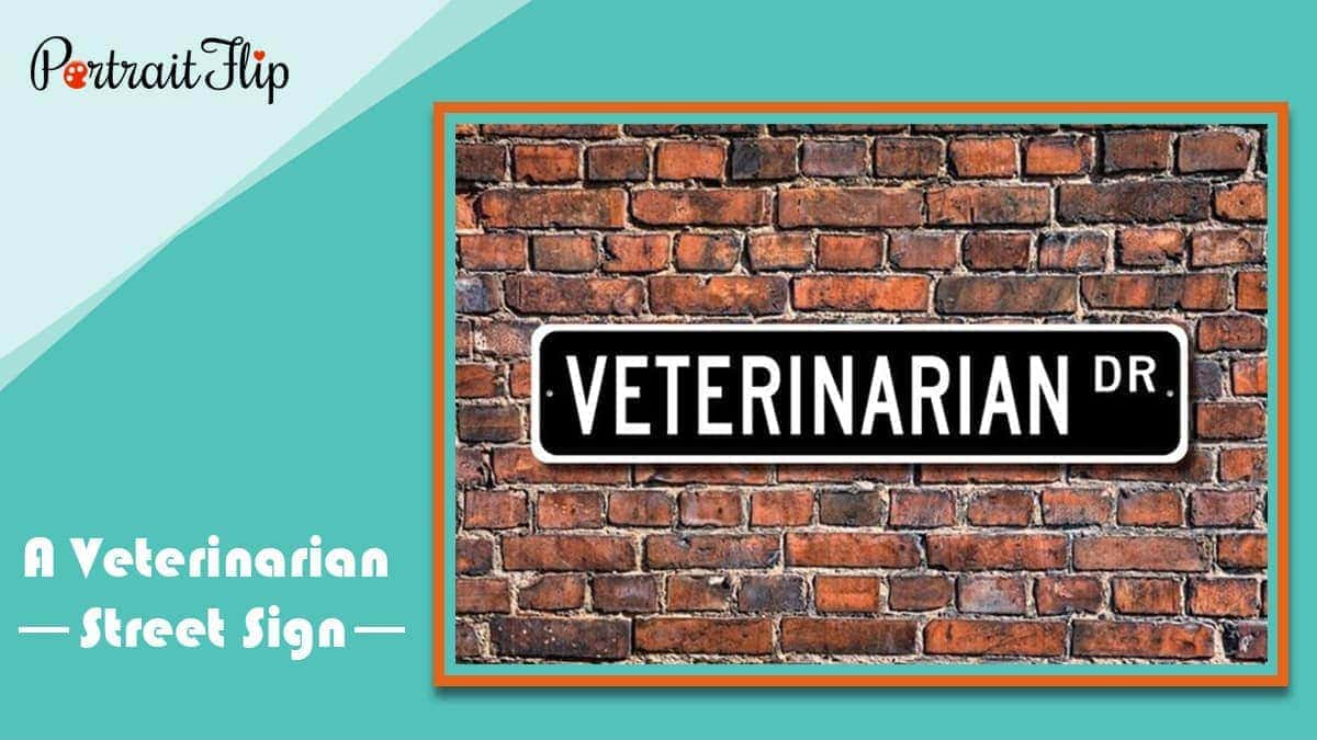 A veterinarian street sign