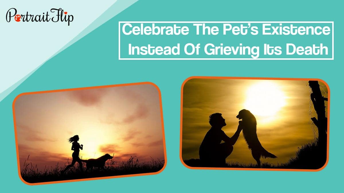 Celebrate the pet’s existence instead of grieving its death