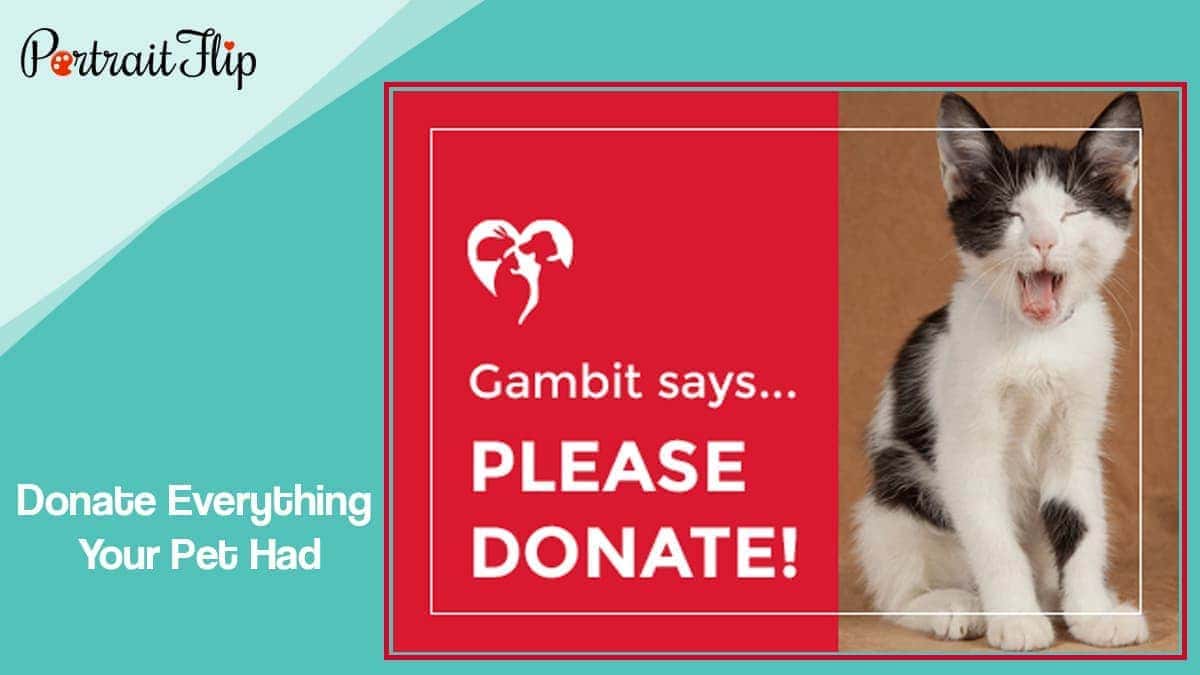 Donate everything your pet had