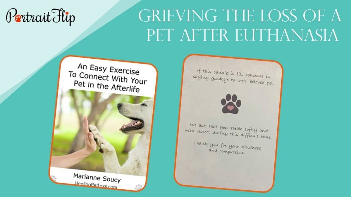 Grieving the loss of a pet after euthanasia