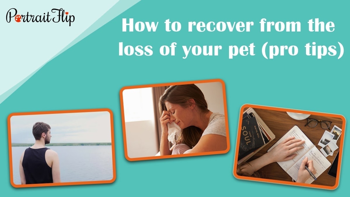 How to recover from the loss of your pet (pro tips)