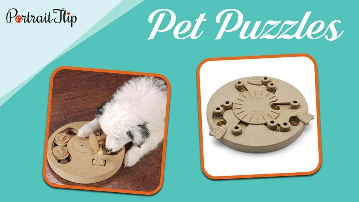 Pet puzzles