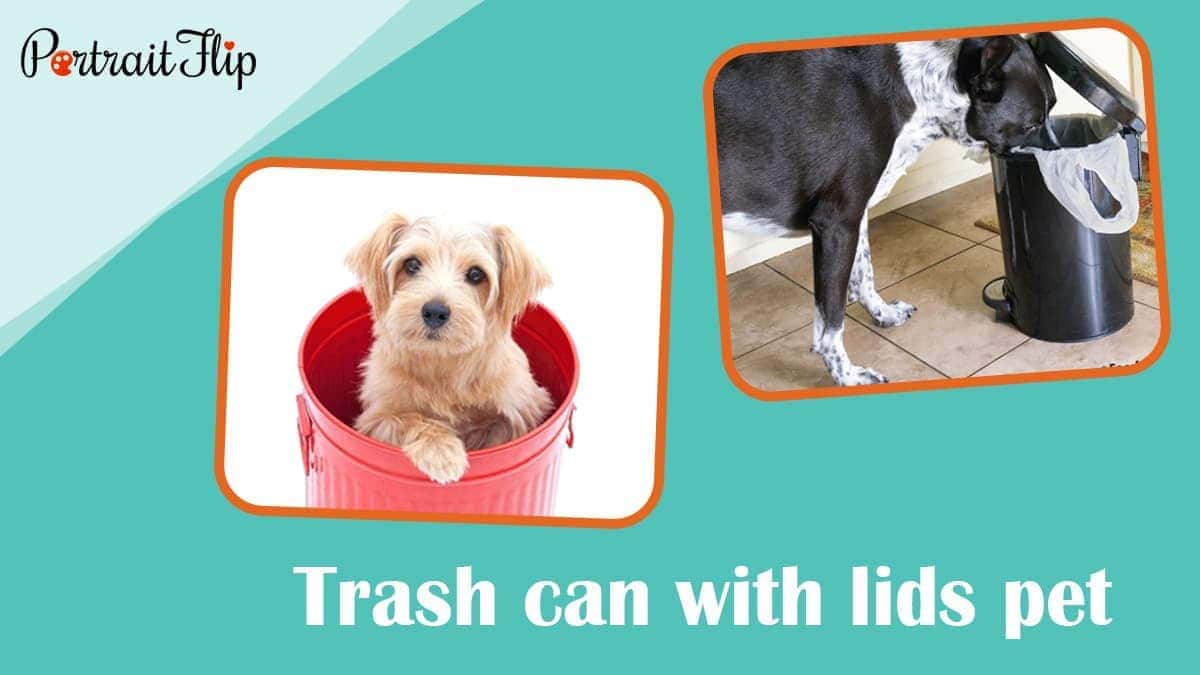Trash can with lids pet
