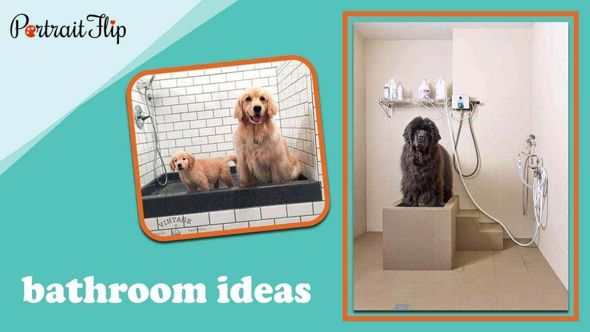 Bathroom ideas