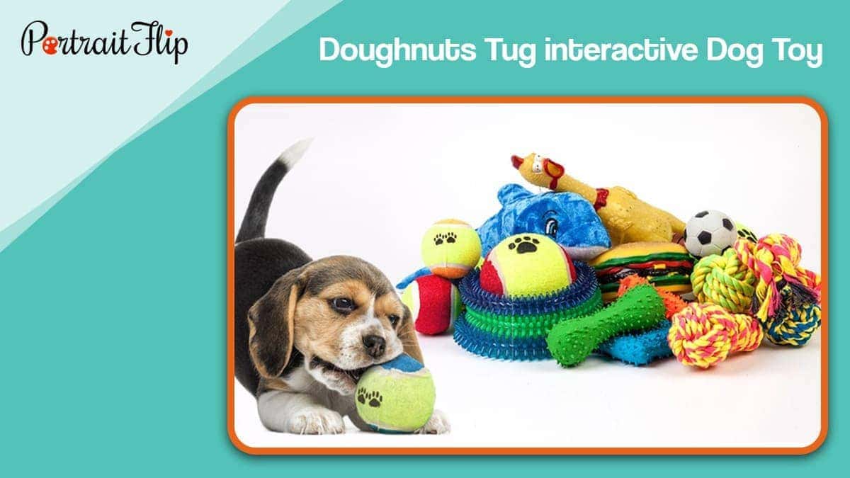 Goughnuts tug interactive dog toy