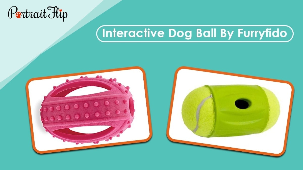 Interactive dog ball by furryfido