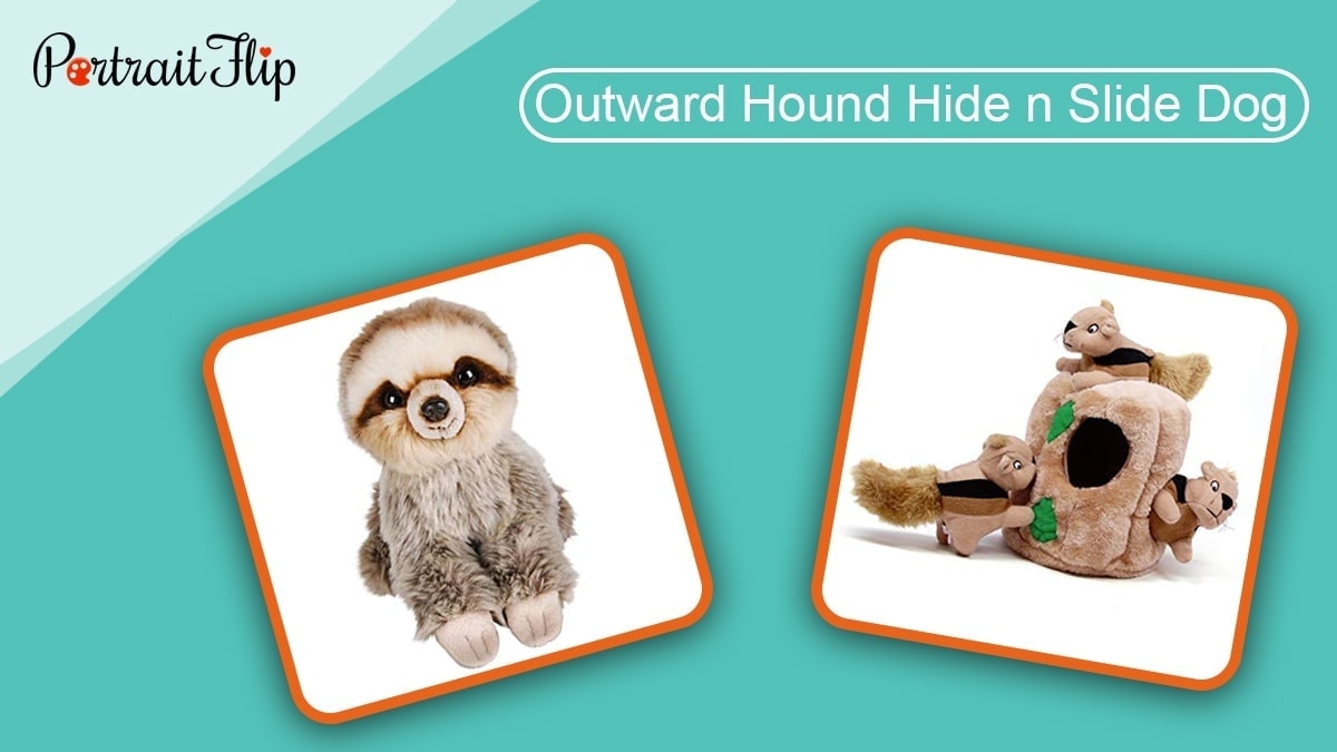 Outward hound hide side dog