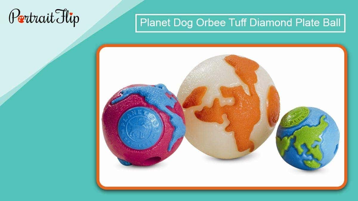 Planet dog orbee tuff diamond plate ball